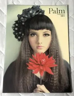 Palm 雑誌