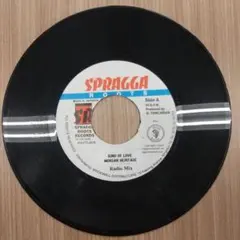 the wailers I made a mistake レコード - メルカリ