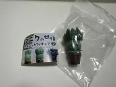 익명 배송 타닉 요정 다육 식물 마스코트 피규어 알로에 플라밍고