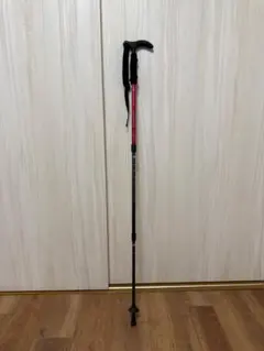 Item thumbnail for item 7eab74e8-1fb9-4f46-bbad-0fed3273e7ca