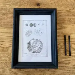 Item thumbnail for item b49446d0-30b9-4fe8-9d40-e44acabc13cc