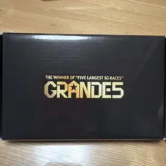 ボートレースクラシック SG GRANDE5 555 純金1g入インゴットカード