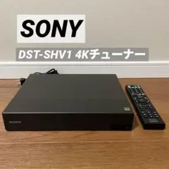 2026年最新】dst-shv1の人気アイテム - メルカリ