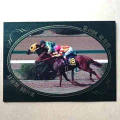 97駿 競馬カード、シャダイカグラ【3点300円】