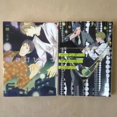 Item thumbnail for item 960c0a27-2b01-462e-a6a8-c00d11dae448