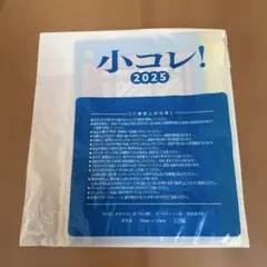 小コレ! 2025 ドラえもん