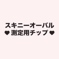 ネイルチップ 測定用チップ オタクネイル 推しネイル スナ系 量産型 ちゅるん