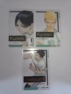 ハイキュー ファンパーク 箔押しクリアカード 青葉城西