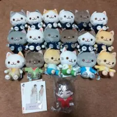 SEVENTEEN ANIMAL COORDY ぬいぐるみ　26種セット SEVENTEEN ANIMAL COORDY ぬいぐるみ 26種セット セガプラザ公式