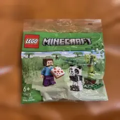 LEGO Minecraft 30672 Steve and BabyPanda