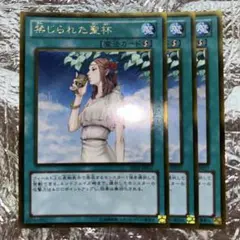 【gia-fenser】遊戯王 禁じられた聖杯 カードセットのサムネイル