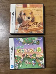 DSソフトセット