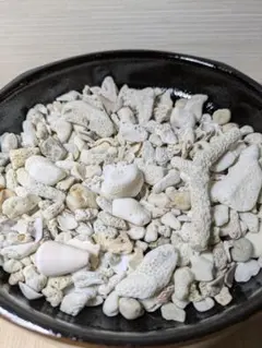 サンゴの破片(2kg) 素材　ハンドメイド　diy　サンゴ砂