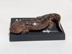 2025年最新】京都水族館 フィギュア オオサンショウウオの人気アイテム