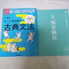八澤のたった6時間で古典文法