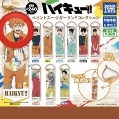 ハイキュー!! 日向翔陽 ペイントスーツガーランドコレクション