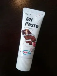 GC 미 페이스트 초콜릿 맛 40g