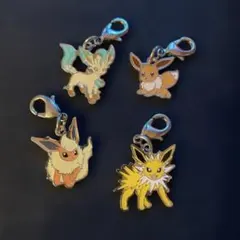 ポケモン ポケモンセンター メタルチャーム ブイズシリーズ