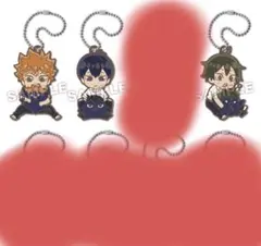 ハイキュー　でふぉラバ