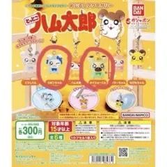 とっとこハム太郎 めじるしアクセサリー