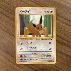 旧裏　イーブイ　拡張シート　光沢