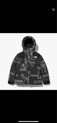韓国限定THE NORTH FACE ペイズリー柄 ダウンジャケット