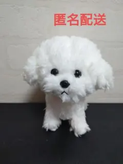 サンレモン ビションフリーゼぬいぐるみのサムネイル