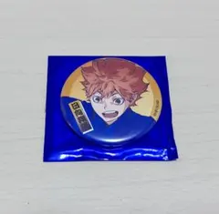 日向翔陽 ハイキュー!!夏祭りトレーディング缶バッジ