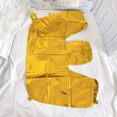 Item thumbnail for item 210bb92b-c21a-4190-abd8-e2d4151649da