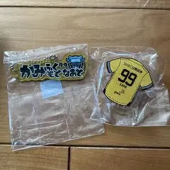 川崎フロンターレ湘南ベルマーレ　上福元直人ガチャフロひらがなネームユニクリップ