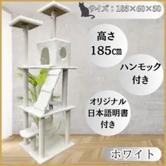 Item thumbnail for item e6fdd875-dff0-4af6-80eb-cbbfec61da1a