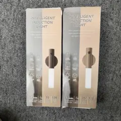 Item thumbnail for item ee678b2c-bd91-45f4-ad9c-9c13b1b0fc1a