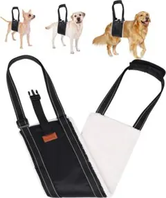 Item thumbnail for item c58919ea-5b9f-422f-ae6d-9262df7e4a9c