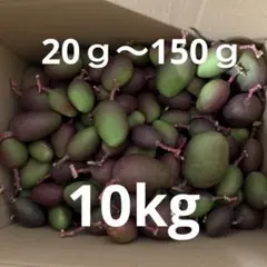 宮崎県産 摘果マンゴー グリーンマンゴー 11kg - メルカリ