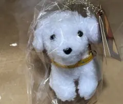 新品未開封 映画 スーパーマン ぬいぐるみボールチェーン クリプト