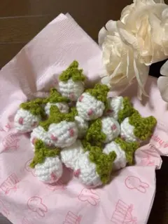 ハンドメイド白いちご♡