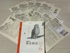 進研模試 大学入学共通テスト模試 2026年度 6月 問題・解答解説のサムネイル
