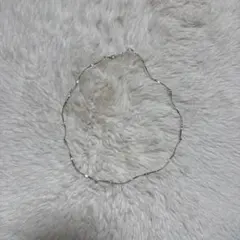 Item thumbnail for item 6744a67b-21e9-435c-bbb7-c9e9b23b9161