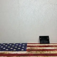 IL BISONTE イルビゾンテ コイン　小銭　カード入れ　レザーウォレット