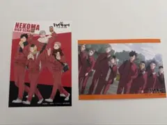 【新品未使用】 ハイキュー 音駒高校 黒尾鉄朗 孤爪研磨 灰羽リエーフ 夜久衛輔