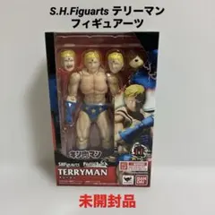 未開封 S.H.Figuarts ケン・マスターズ ストリートファイターIV - メルカリ