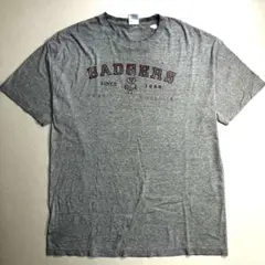 雰囲気◉古着 BADGERS カレッジロゴ グランジ ダメージTシャツ グレー