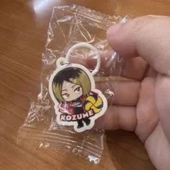 ハイキュー めじるしチャーム 孤爪研磨