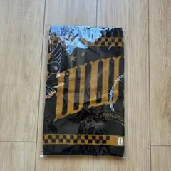 Item thumbnail for item 8cc1d865-b12a-493e-9e1a-68200232af7e