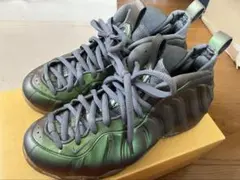 【値下げ相談可】Nike Women's Air Foamposite One