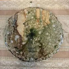 手作り陶器皿