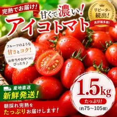 青森県産 トマティーヨ 1000g 令和8年産 - メルカリ