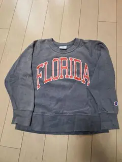 mekarauroko02様 リクエスト 2点 まとめ商品