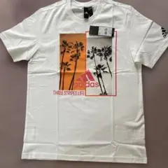 アディダス　Tシャツ