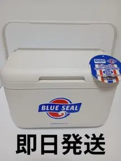 【新品】BLUE SEAL ブルーシール クーラーボックス 非売品 保冷バッグ